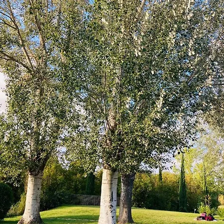 Podere La Chiusella * Rapolano Terme