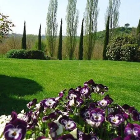 Podere La Chiusella * Rapolano Terme